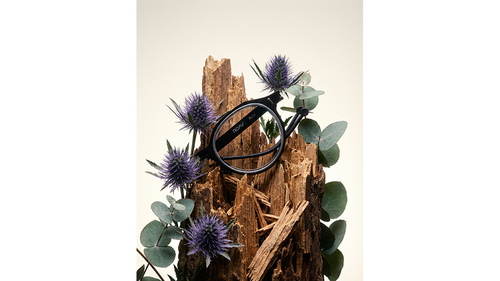 SeaChange Exhibition April.2026